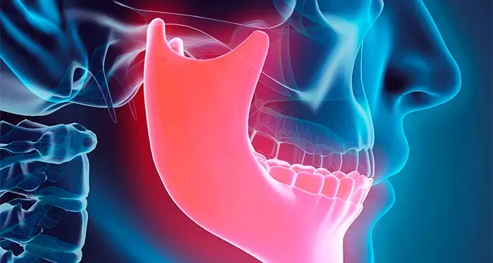 articulacion temporomandibular resaltada en un cráneo humano